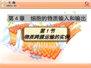 《物质跨膜运输的实例》PPT课件