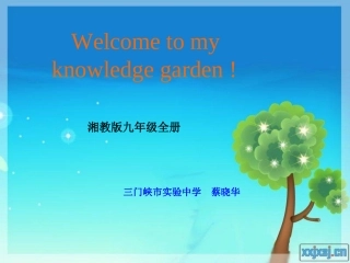 九年级英语知识结构图