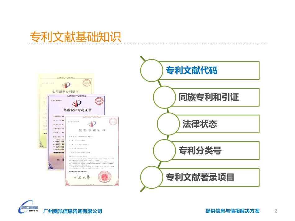 专利文献基础知识_第2页