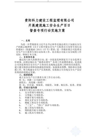 安全生产百日督查专项行动监理方案_secret