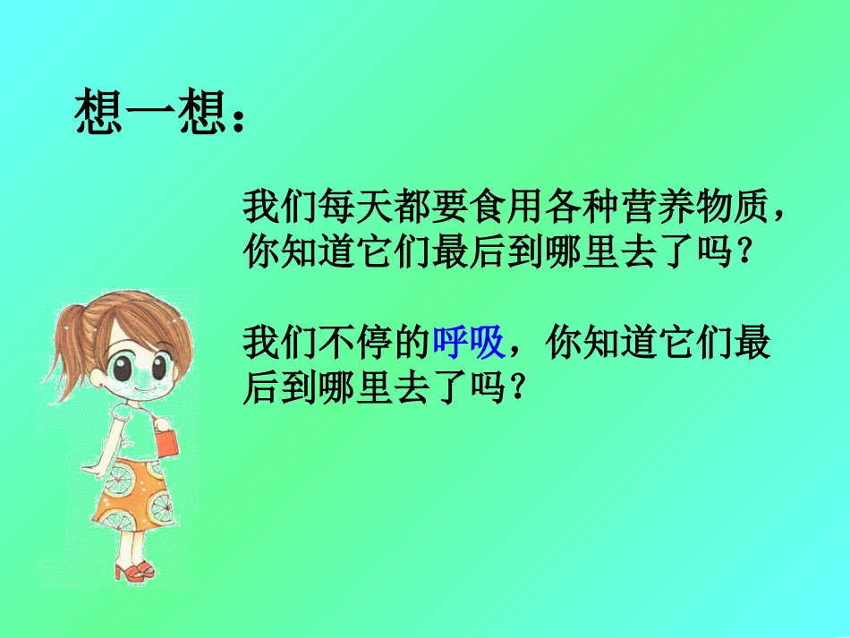 第十四章第一节血管_第1页