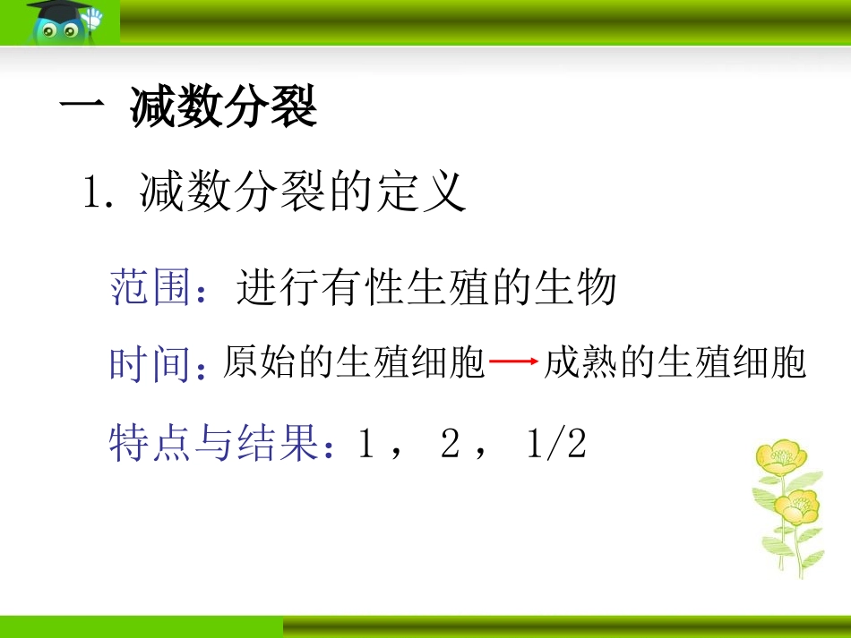 减数分裂和受精作用_第2页