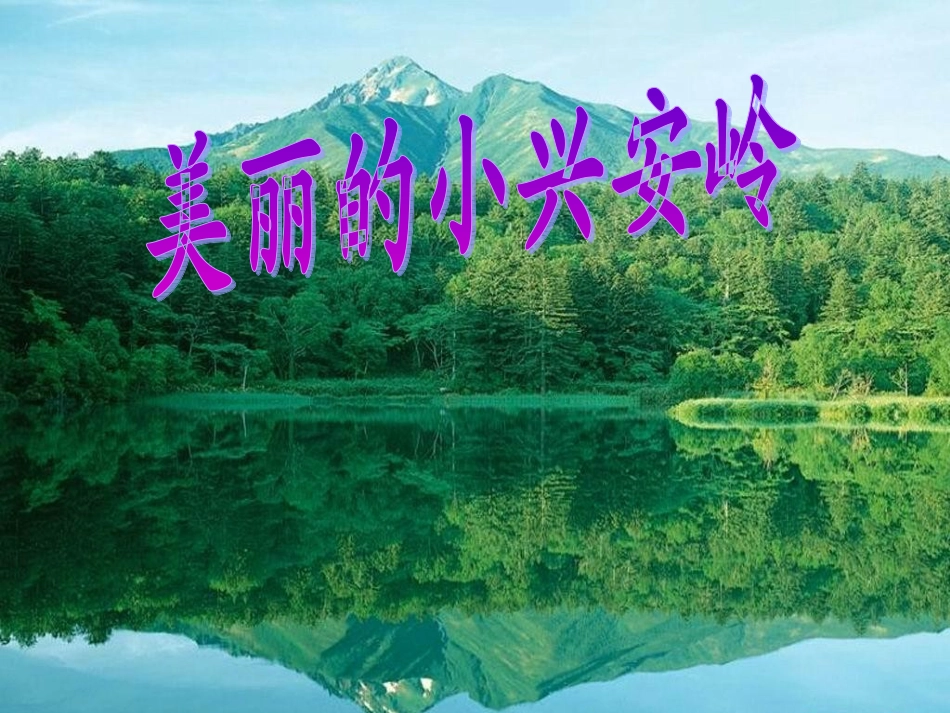 美丽的小兴安岭PPT_第2页