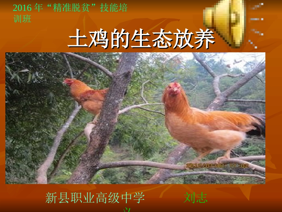 2016年“精准扶贫”生态养鸡教案2_第1页