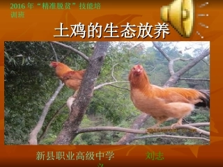 2016年“精准扶贫”生态养鸡教案2