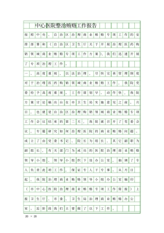 中心医院整治贿赂工作报告精品工作报告