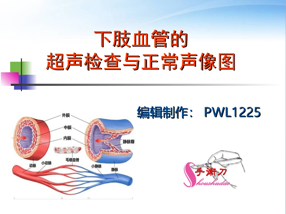 下肢血管的超声检查及正常声像图_第1页