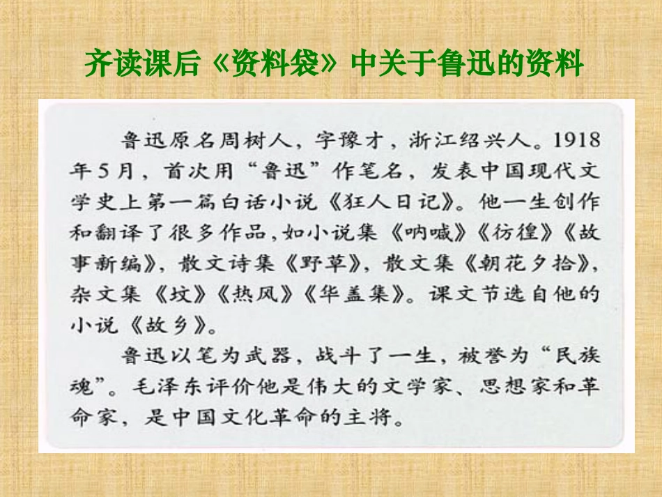 少年闰土课件_第3页