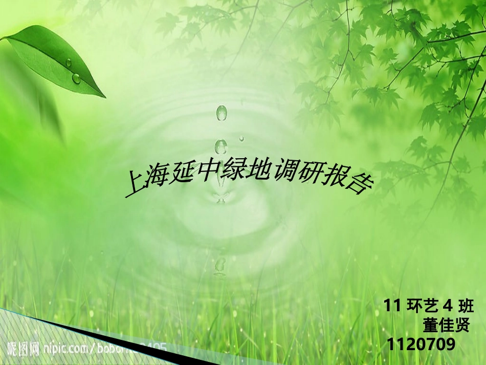 上海延中绿地_第1页