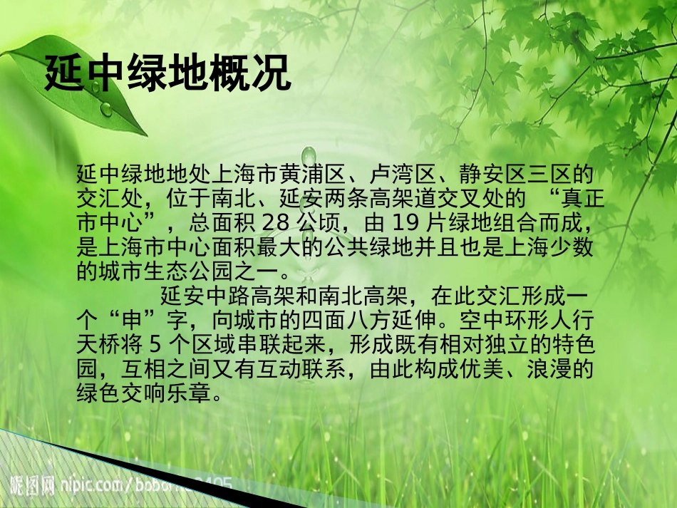 上海延中绿地_第2页