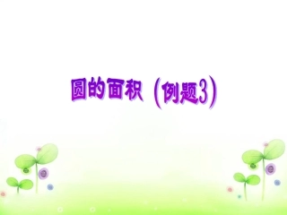 《圆的面积例3》课件
