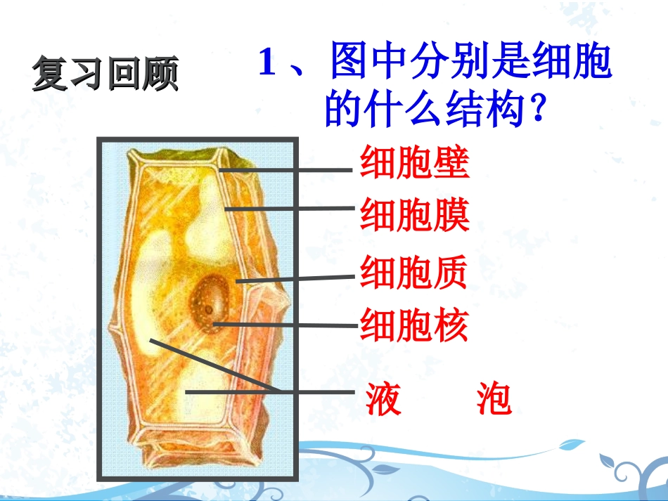 七年级生物观察动物细胞ppt_第2页