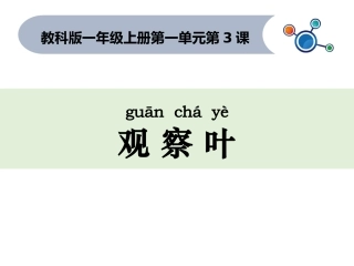 一年级课科学上一3观察叶