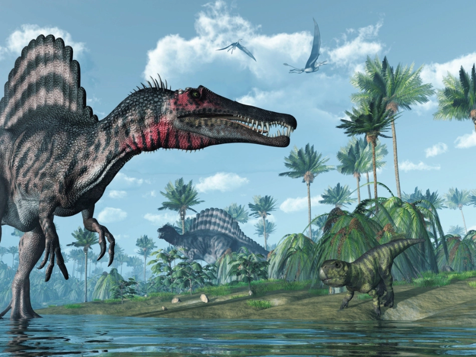 一上二1在观察中比较_第2页