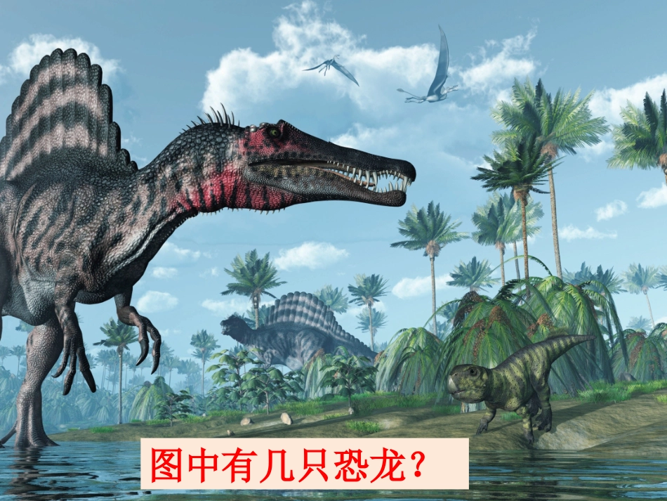 一上二1在观察中比较_第3页