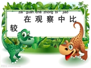 一上二1在观察中比较