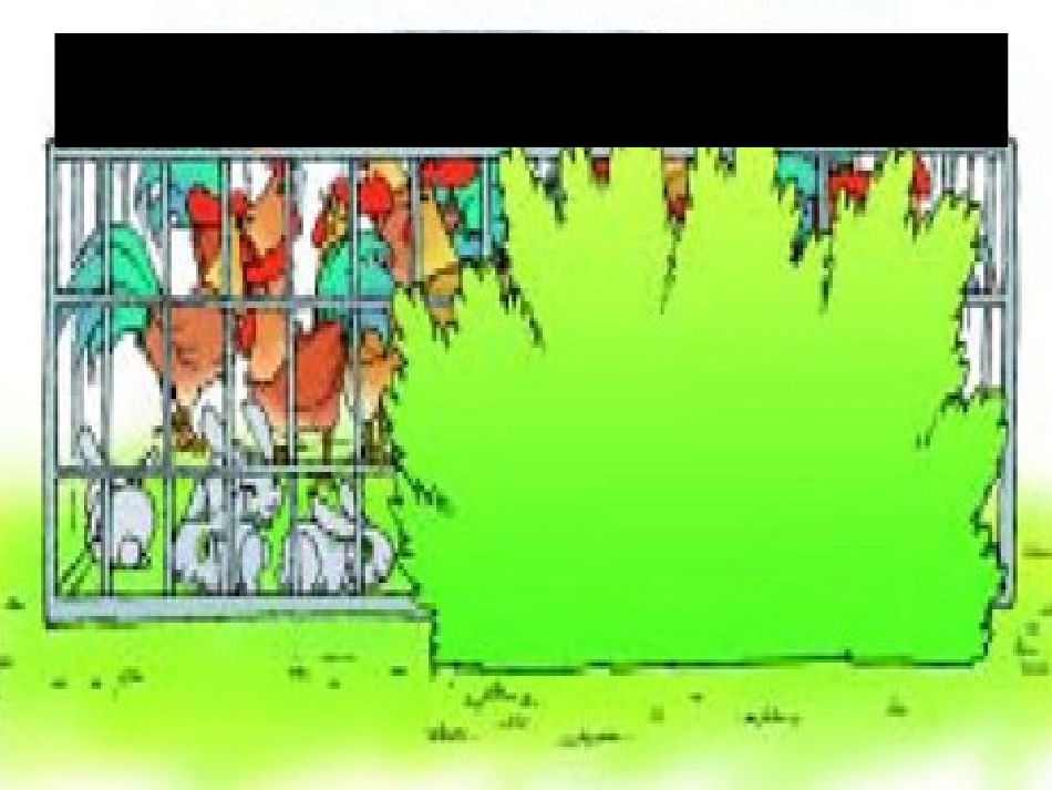 《鸡兔同笼》课件_赣县城关第四小学曾庆发_第2页