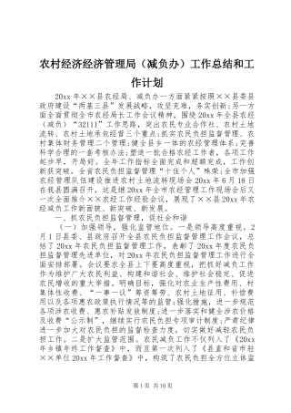 农村经济经济管理局（减负办）工作总结和工作计划
