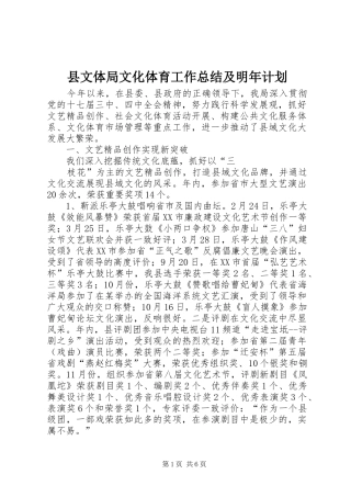 县文体局文化体育工作总结及明年计划