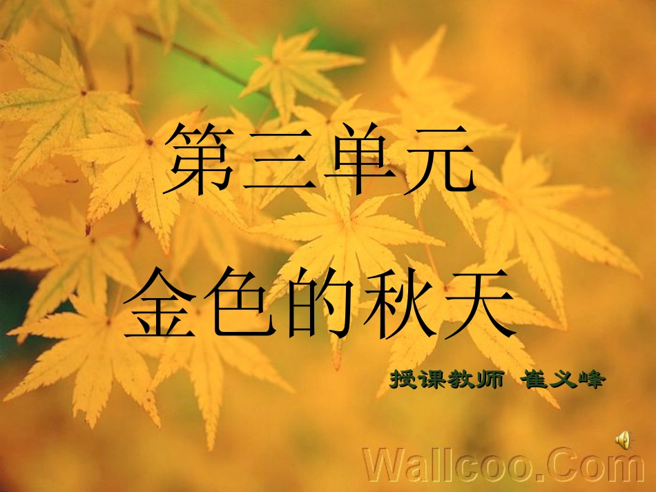 《金色的秋天》课件_第1页
