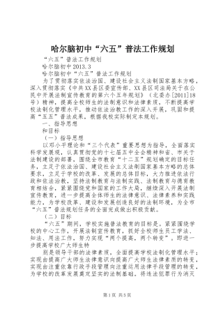 哈尔脑初中“六五”普法工作规划