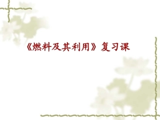 燃料及其利用（复习