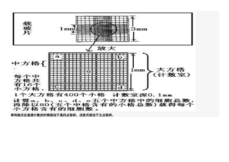 高二生物补充资料：血细胞计数板_第2页