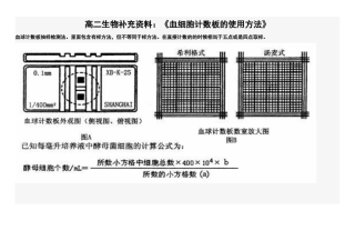 高二生物补充资料：血细胞计数板
