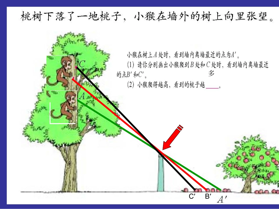 不雅看的范围[精品]_第2页