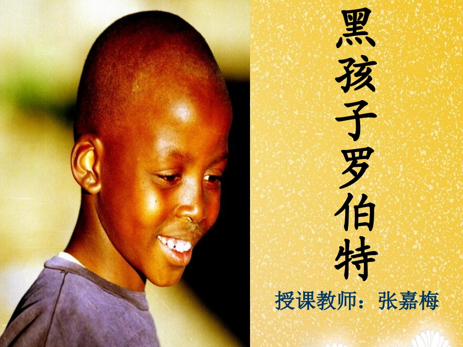 《黑孩子罗伯特》课件_第1页