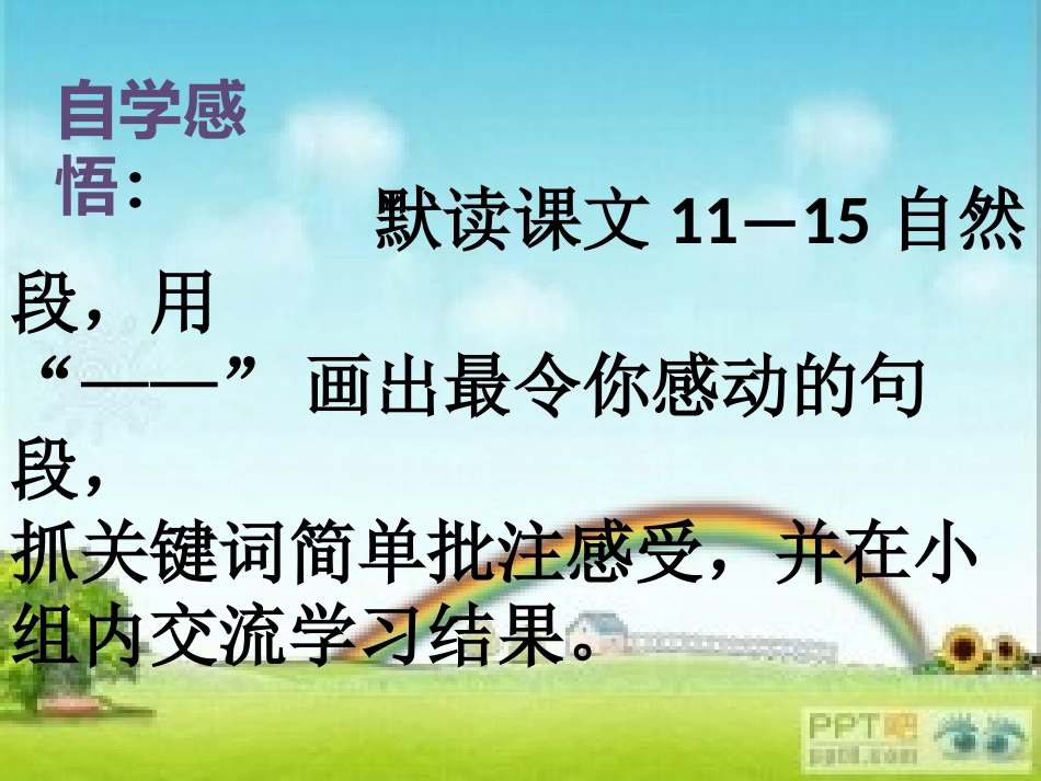 《黑孩子罗伯特》课件_第3页