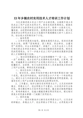 XX年乡镇农村实用技术人才培训工作计划