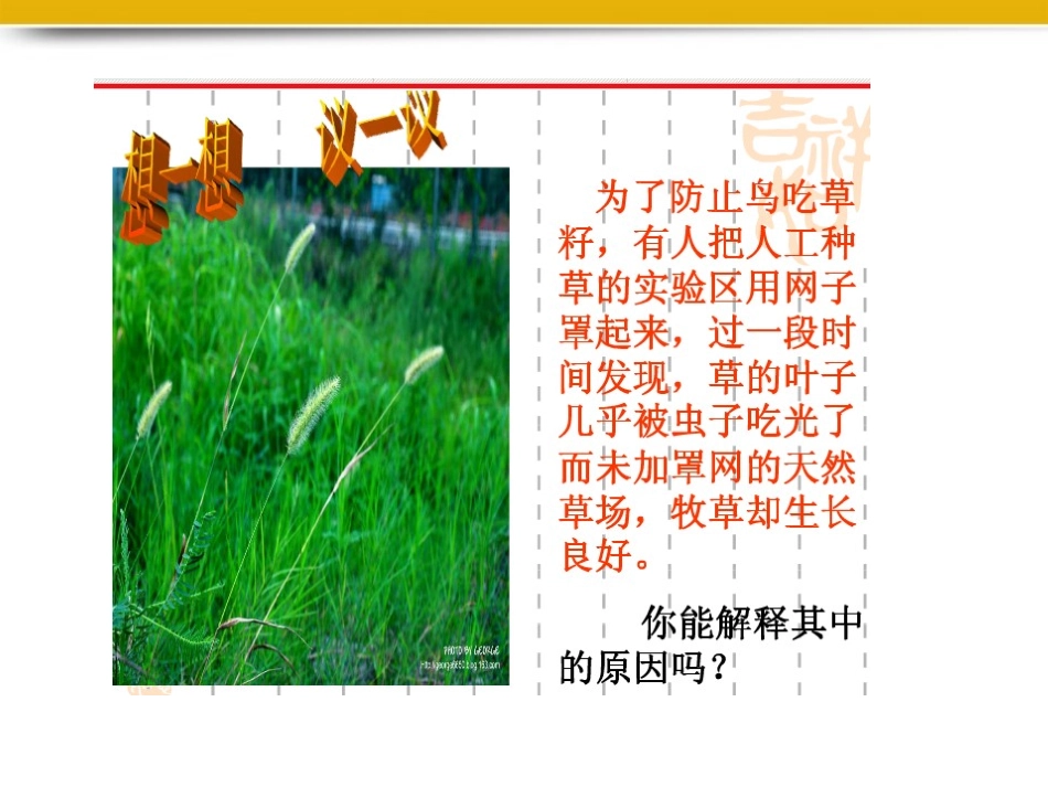 七年级生物上册生态系统课件人教新课标版_第2页