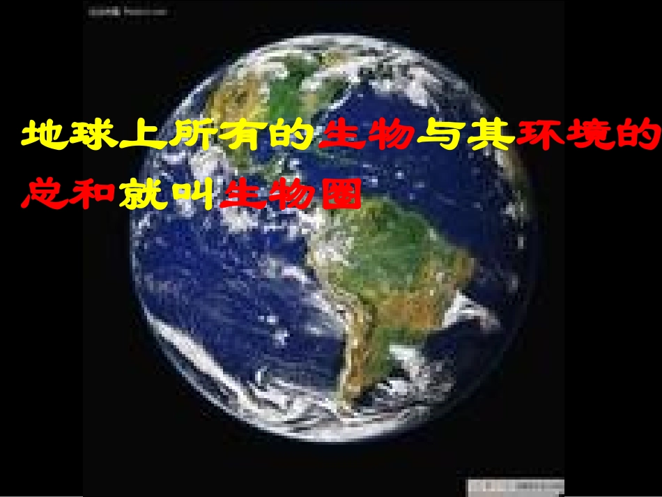 生物与环境的关系（第一课时_第1页