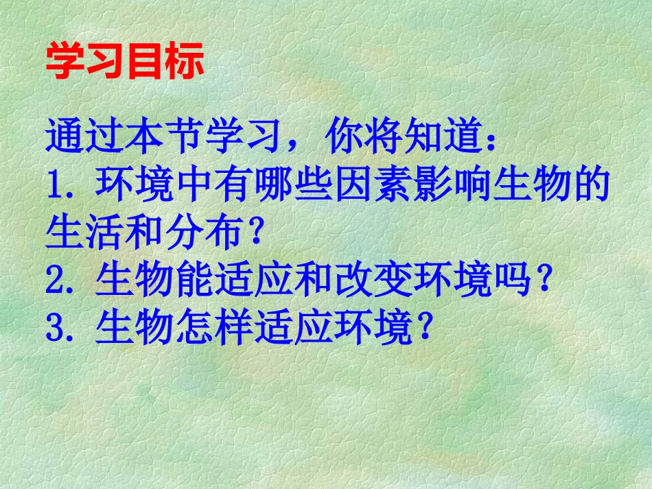 生物与环境的关系（第一课时_第3页