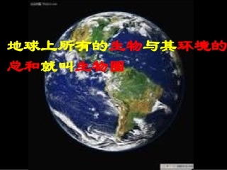生物与环境的关系（第一课时