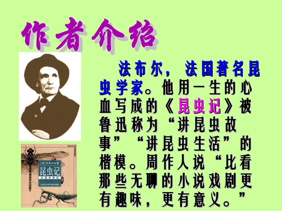 王蕾《绿色蝈蝈》课件_第2页