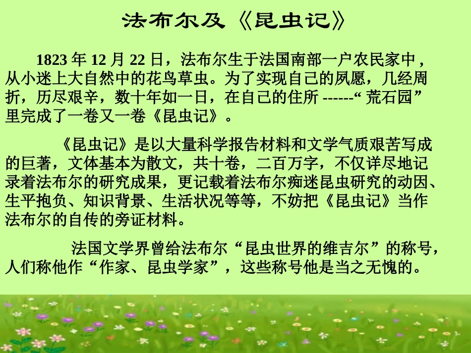 王蕾《绿色蝈蝈》课件_第3页