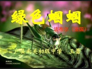 王蕾《绿色蝈蝈》课件