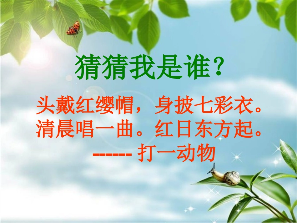 北师大一年级下《快乐的小公鸡》课件_第2页