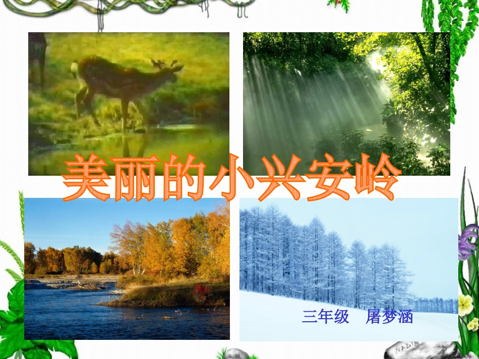 《美丽的小兴安岭》_第1页