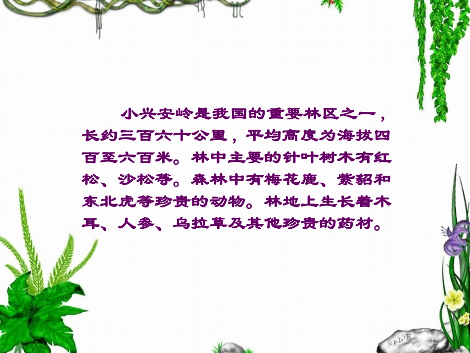 《美丽的小兴安岭》_第2页