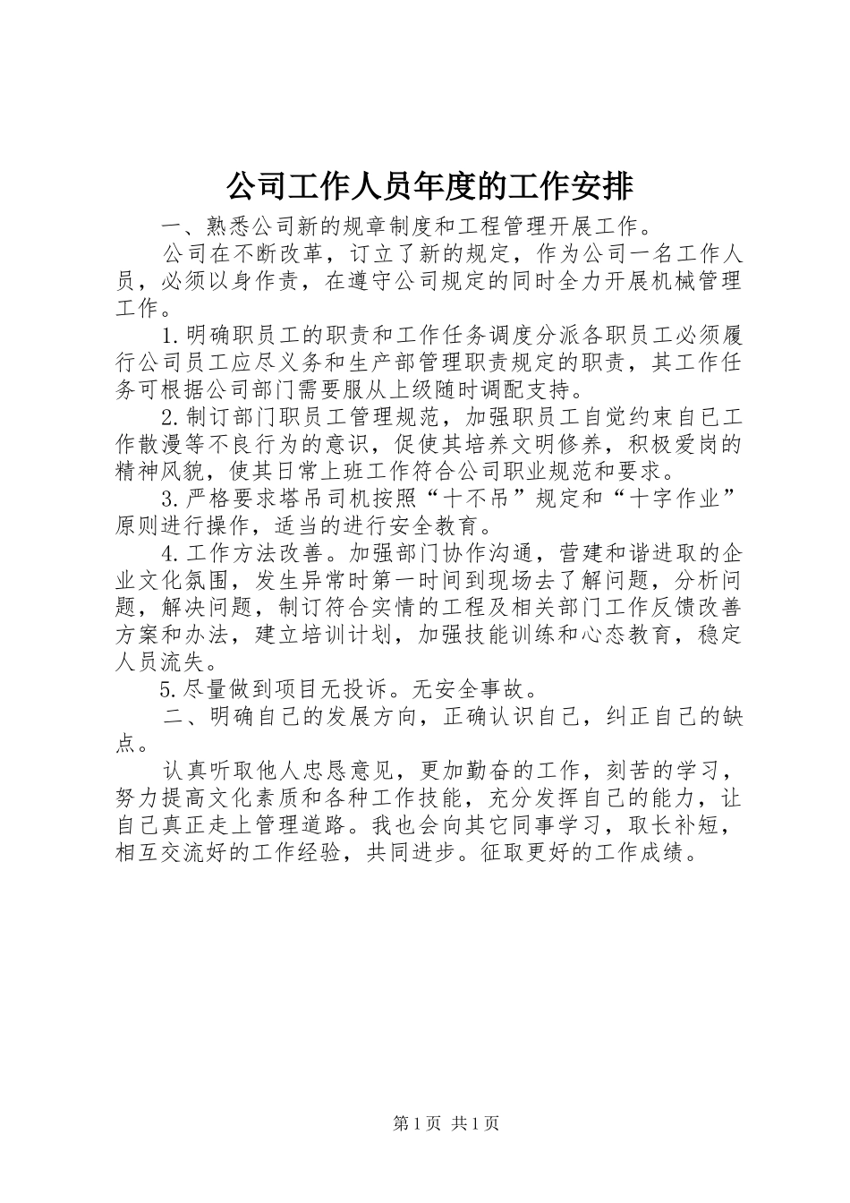公司工作人员年度的工作安排_第1页