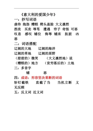意大利的爱国少年