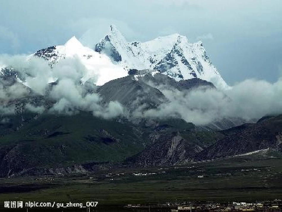 青海高原一株柳_第2页