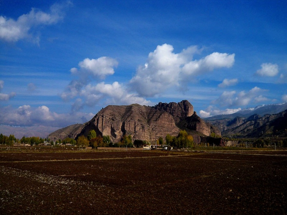 青海高原一株柳_第3页