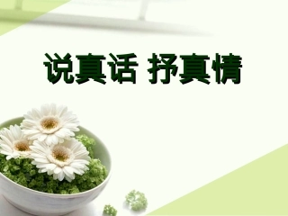 促真情写实感