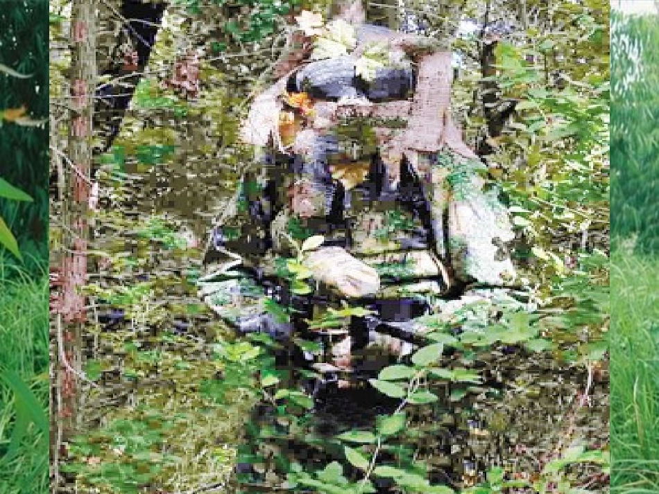 (人教版小学美术三年级下册)迷彩服课件_第1页