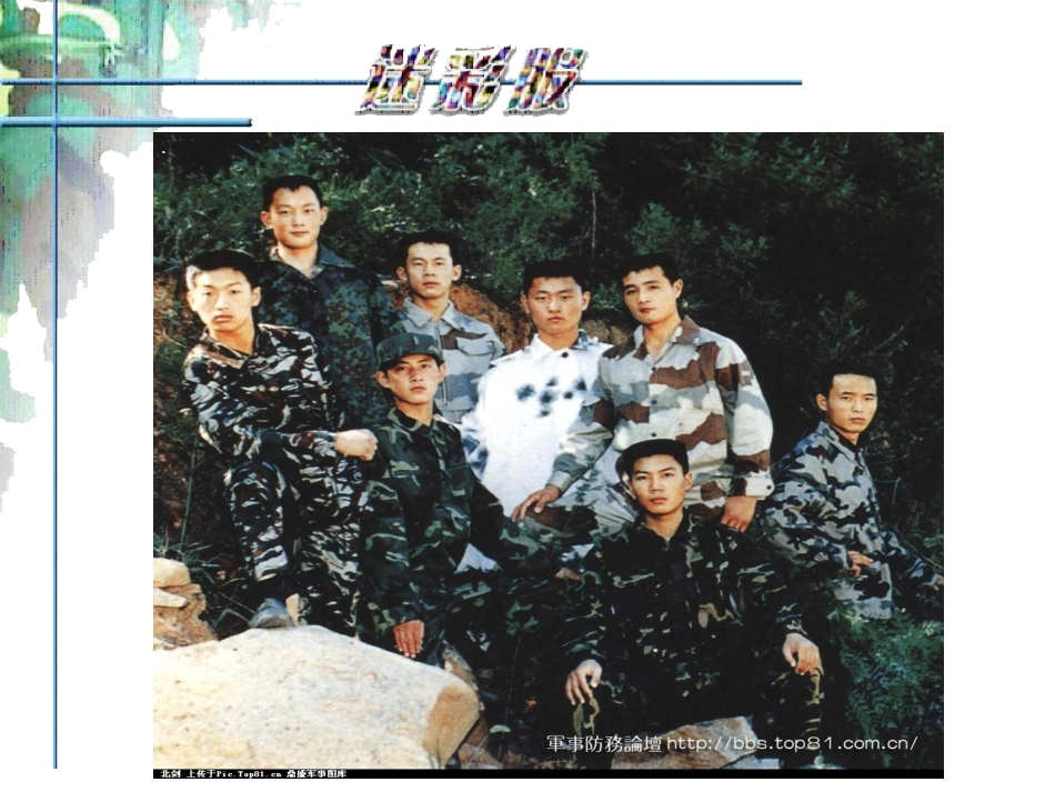 (人教版小学美术三年级下册)迷彩服课件_第2页