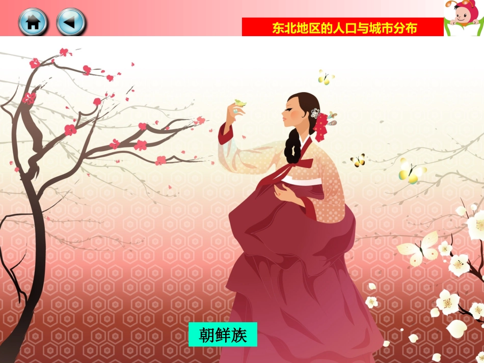 第二节东北地区的人口和城市_第3页